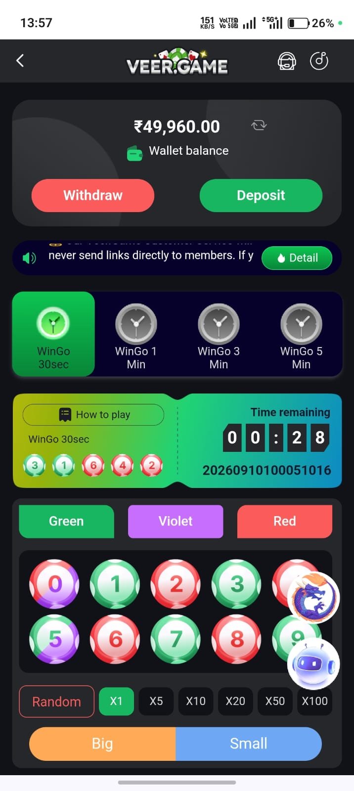 Veer Game Wallet – Instant UPI Withdrawals